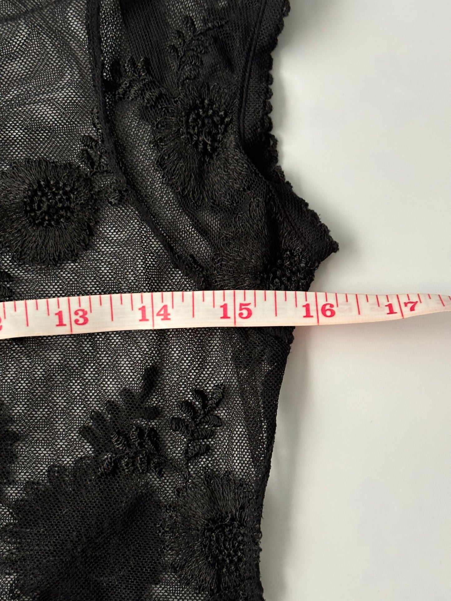 short sheer embroidered lace top